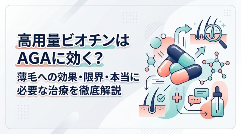 高用量ビオチン - 高用量ビオチンと薄毛の関係|効果の実態と正しい使い方